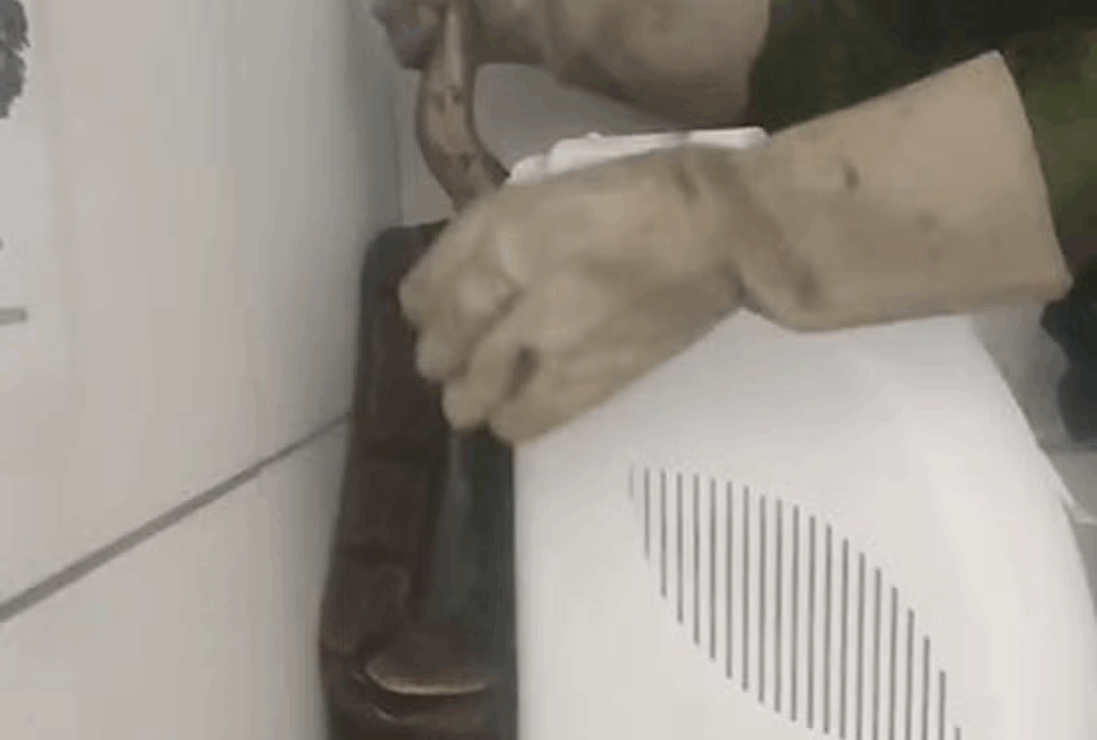 Cobra é encontrada atrás de bebedouro em residência da UFPB e resgatada pela polícia